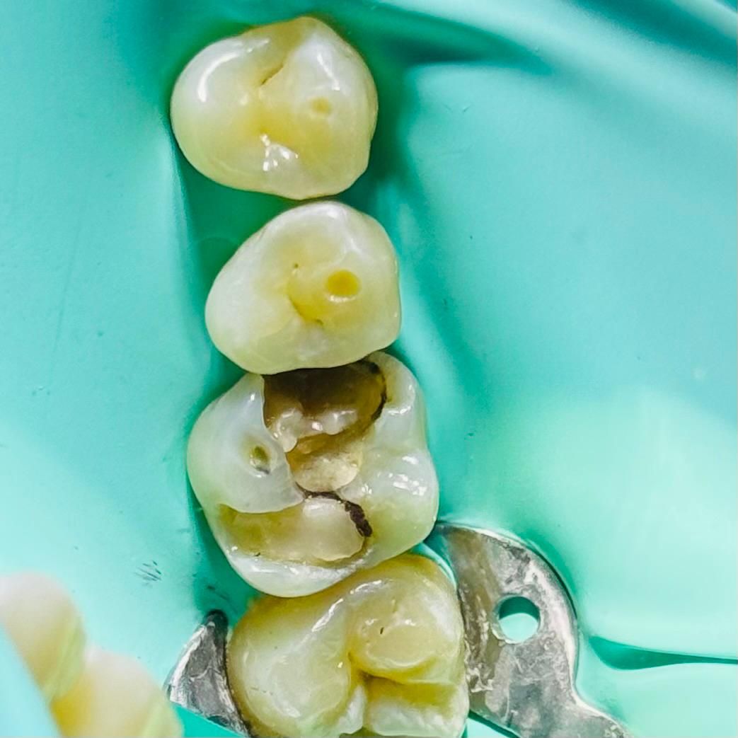 Rocio De La Aurora Carreón Vázquez-7