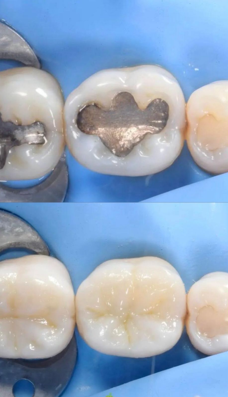 Carlos Alejandro Salazar Serrato-2