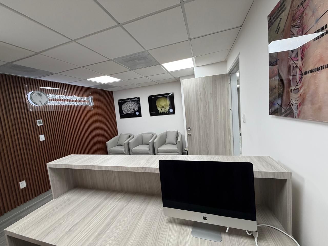 Alan Ferrufino Mejia-36