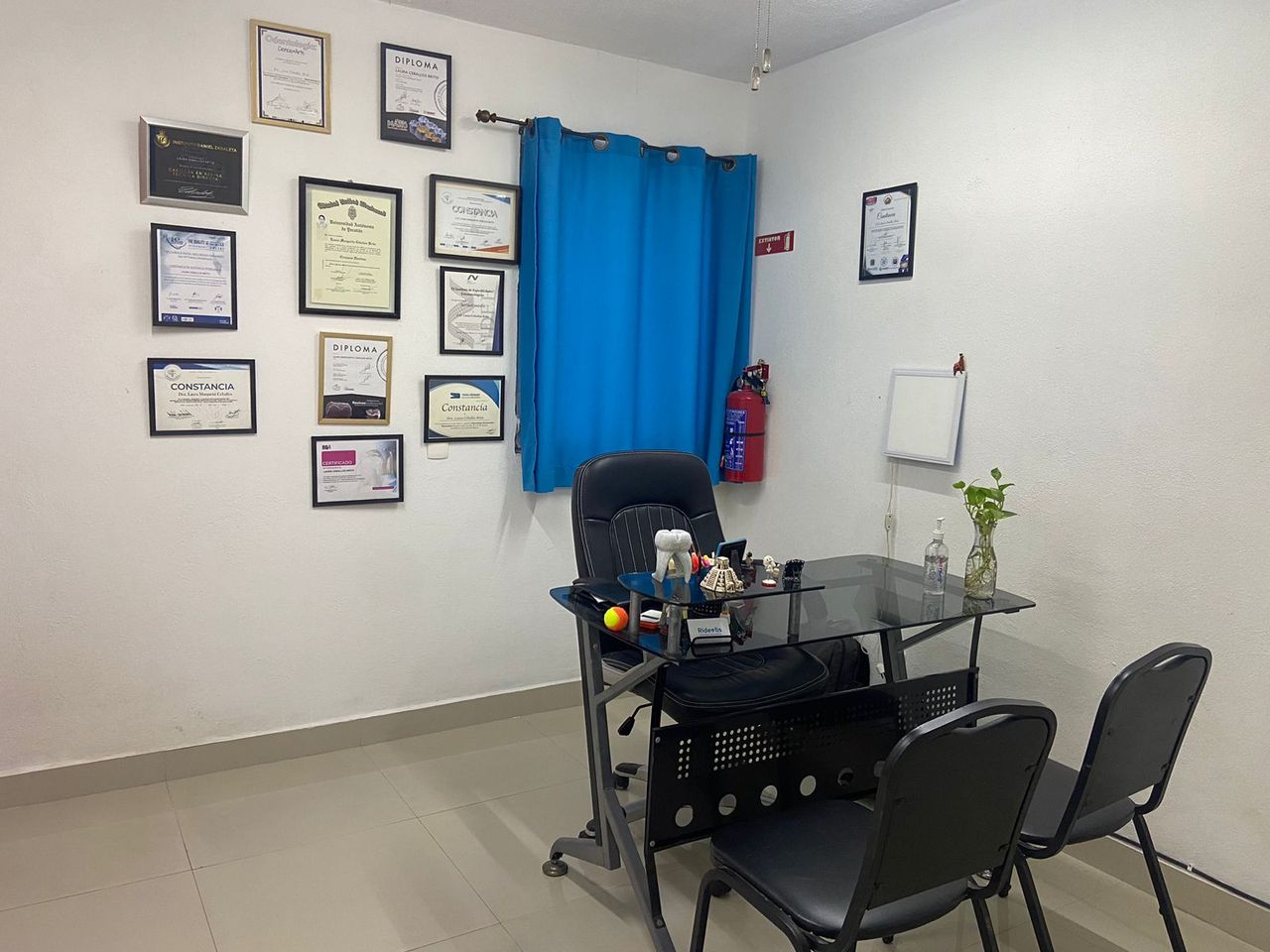 Laura Ceballos Brito-1