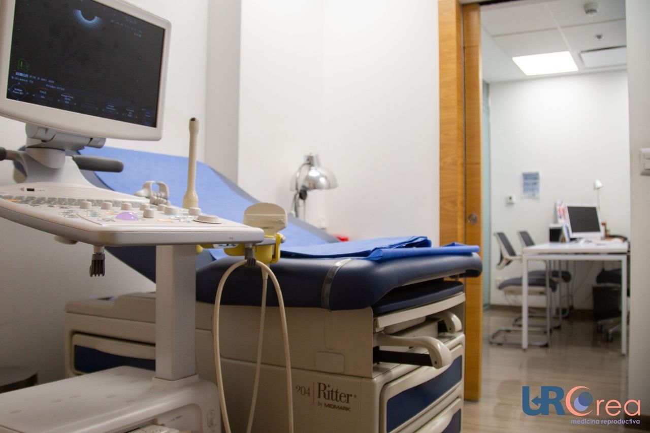 María De Lourdes Flores Islas-3