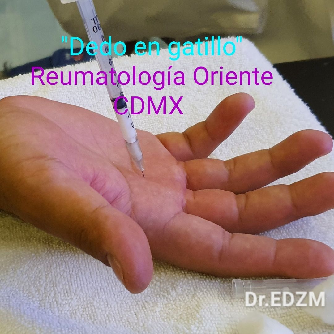 Elliu Demesiris Zúñiga Manriquez-4