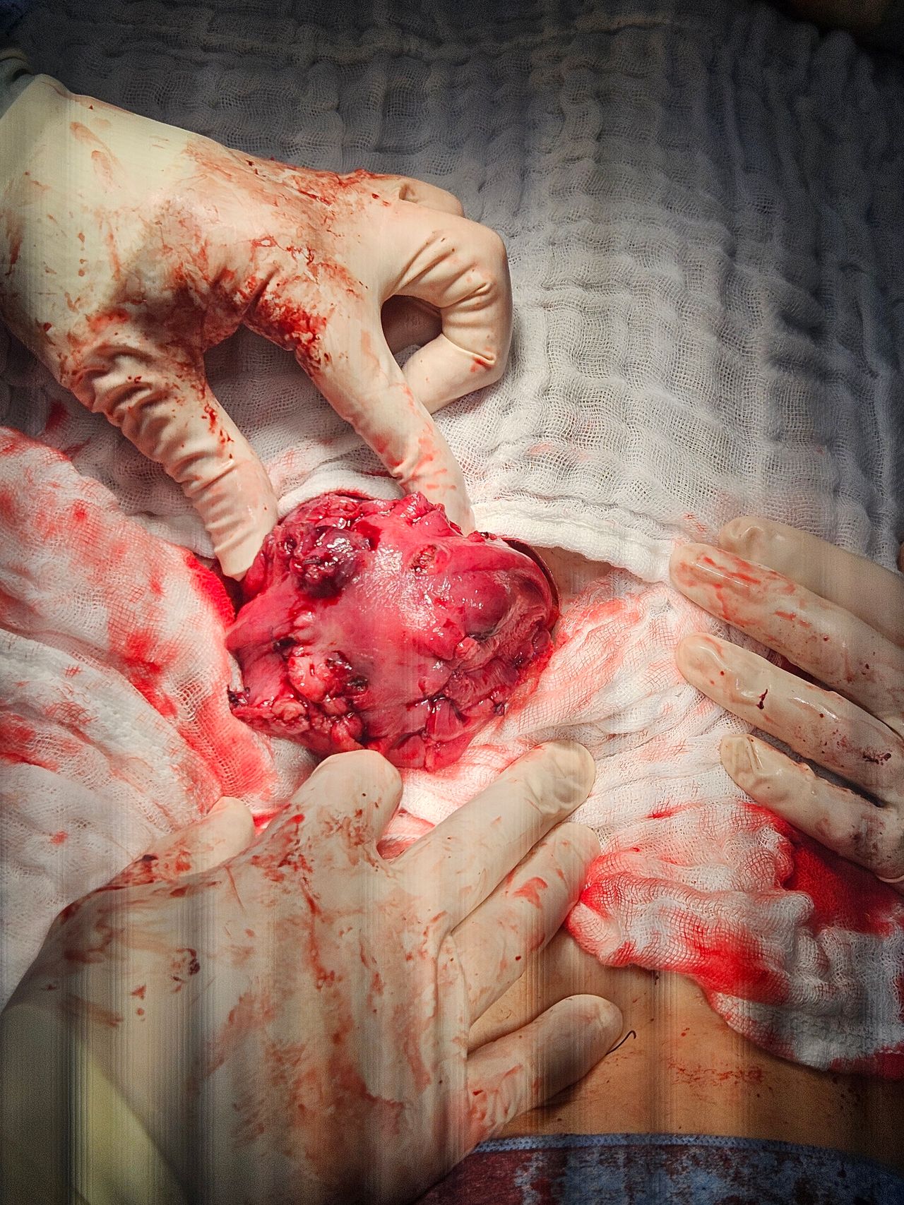 Jorge Alberto Rodriguez Pezino-4