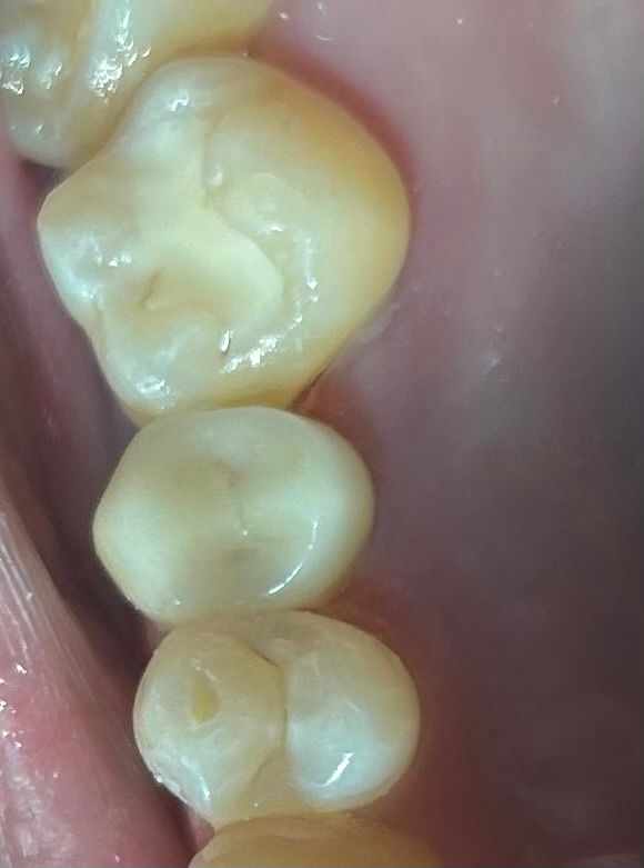 Sandra Carolina Cigala Martínez-22