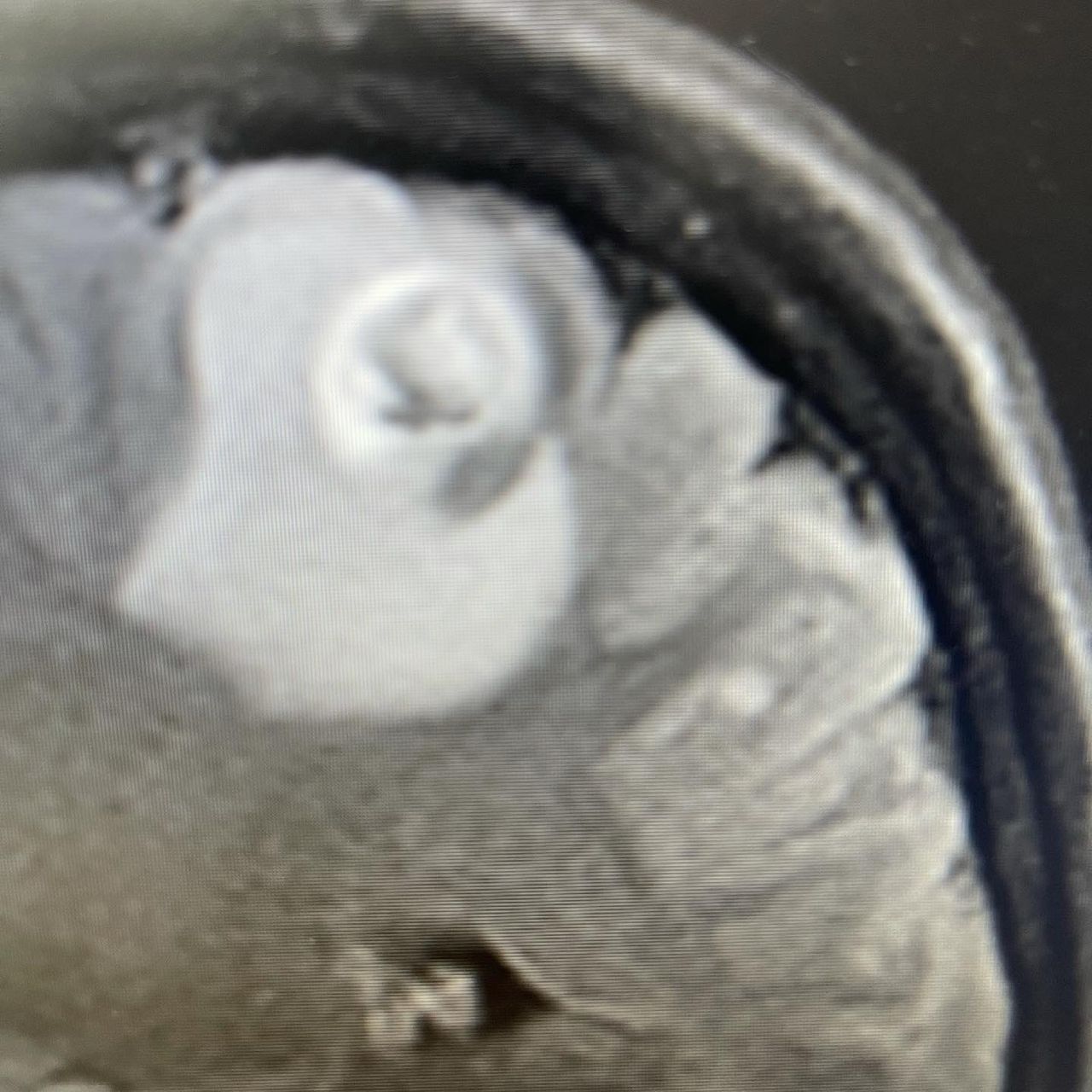 José Luis Arista Ramírez-5