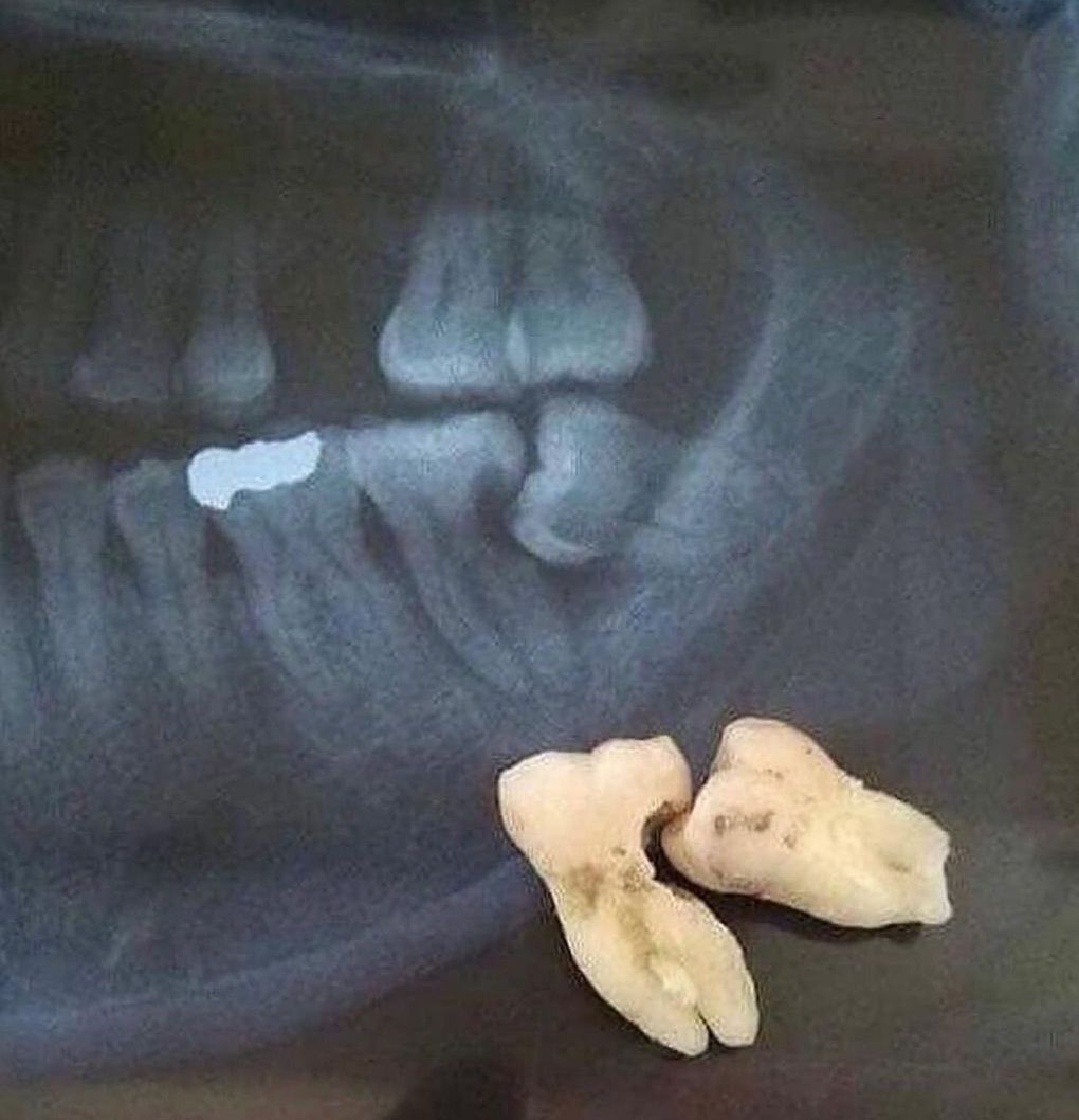 Maria De La Luz Uribe Pozos-9