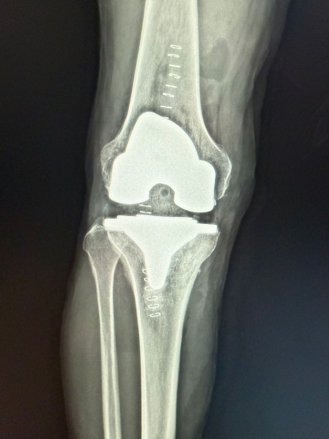 Juan Manuel Viruega Avalos-3