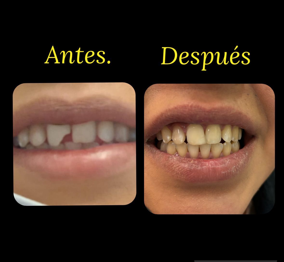 Alicia Araceli Navarro Burguete-10