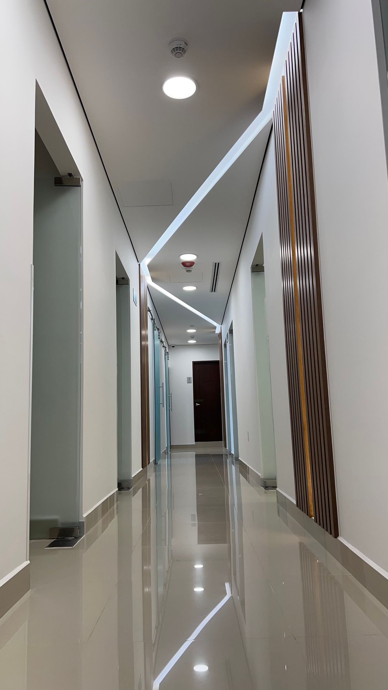 Diego Pérez Rojas-1