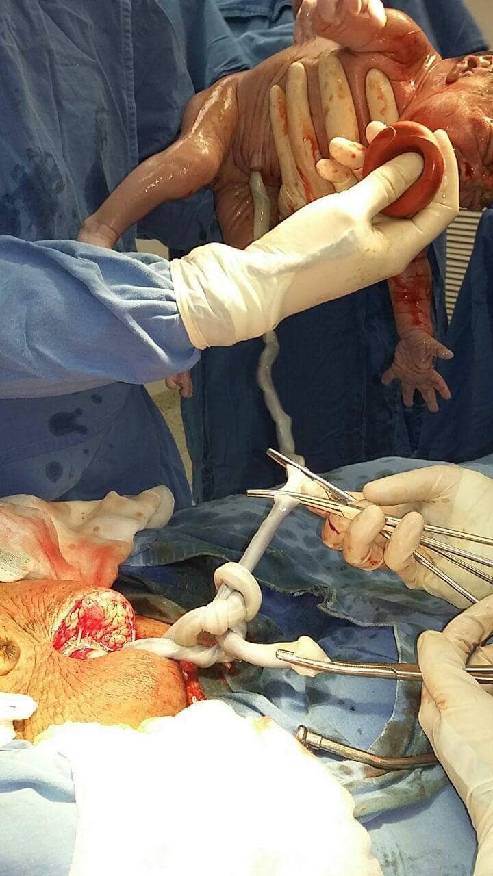 Marisol I. Alvarez Carrasco-47