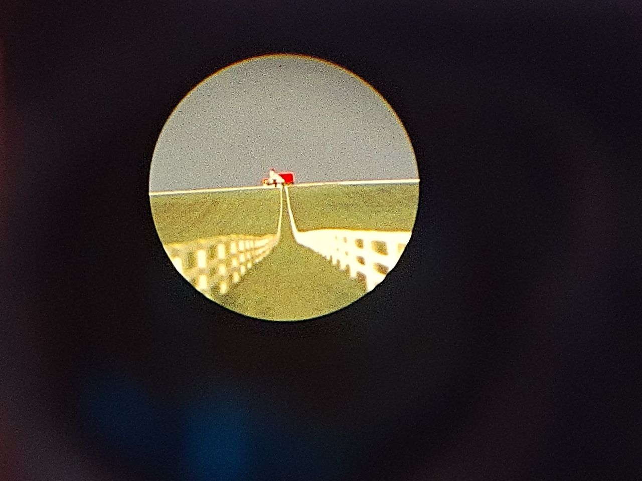 Iliana Peñaloza Román-6