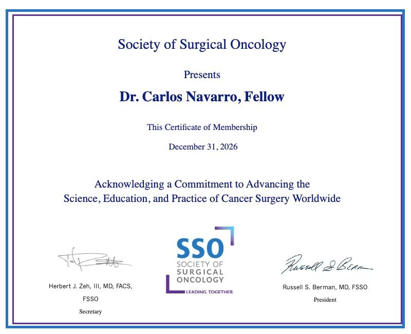 Carlos Navarro Fernandez-4