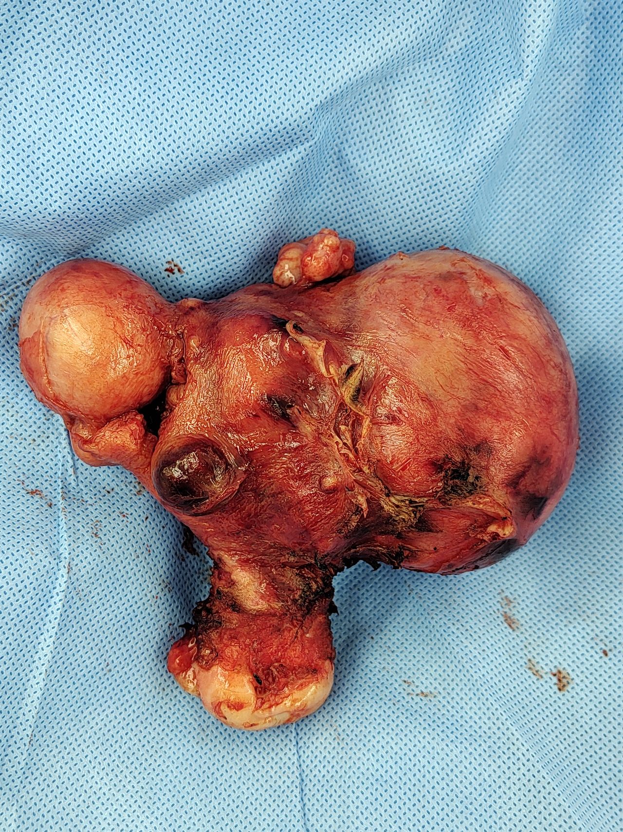 Luis Edmundo Hernández Vivar-8