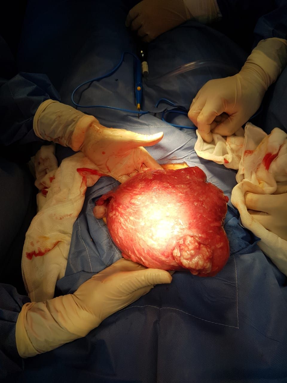 Nayeli Martínez Jaime-24