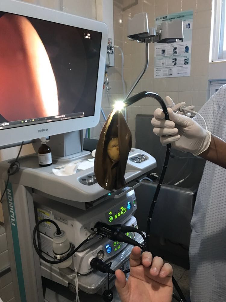 Omar Alejo Téllez-8