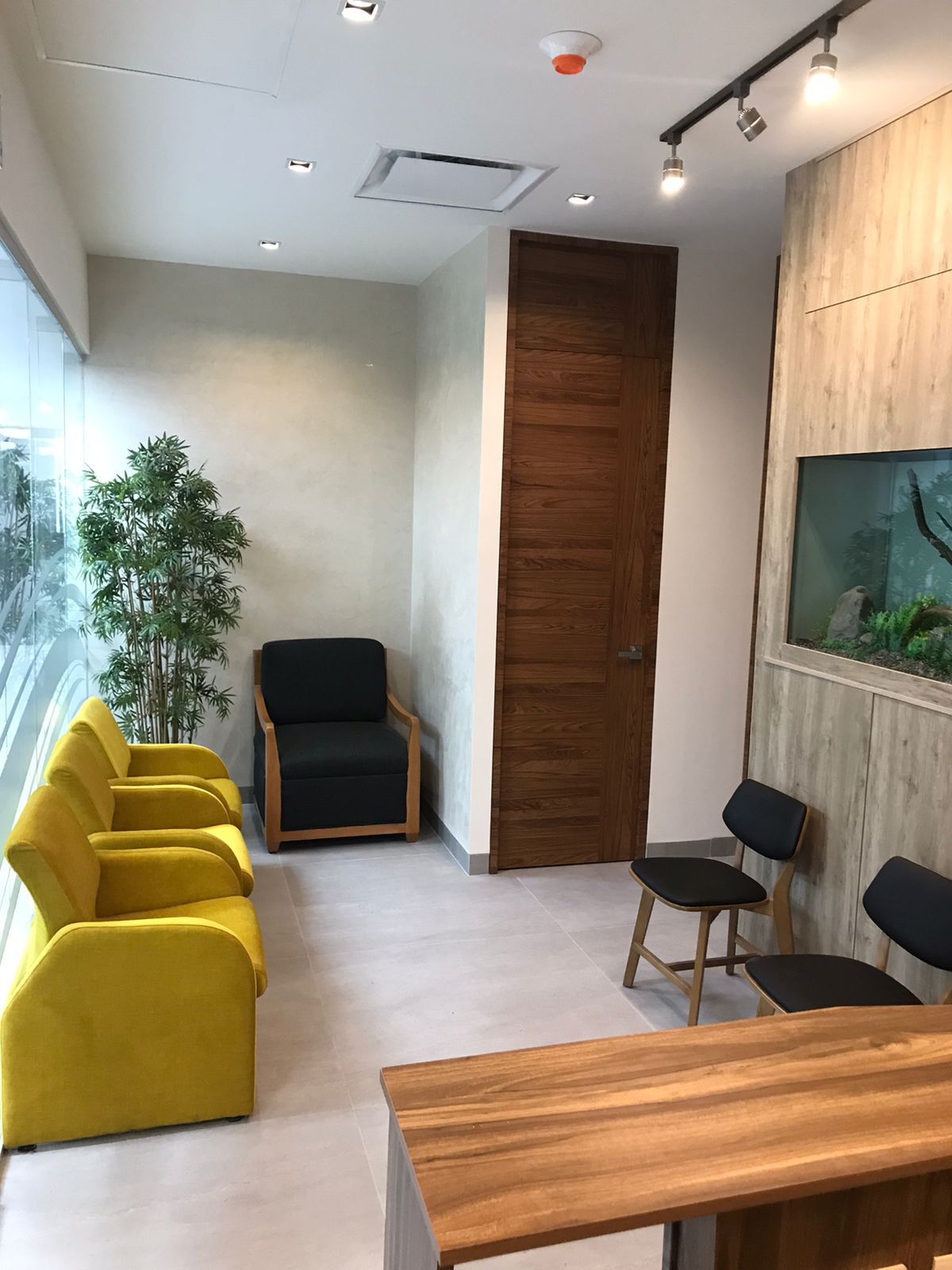 Rosa Margarita Santana Torres-3