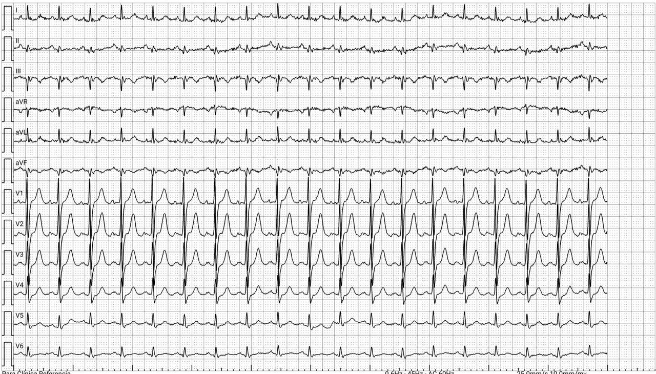 Laura Delgado De Nicola-2
