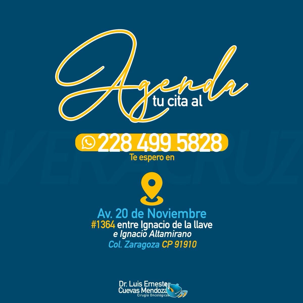 Luis Ernesto Cuevas Mendoza-288