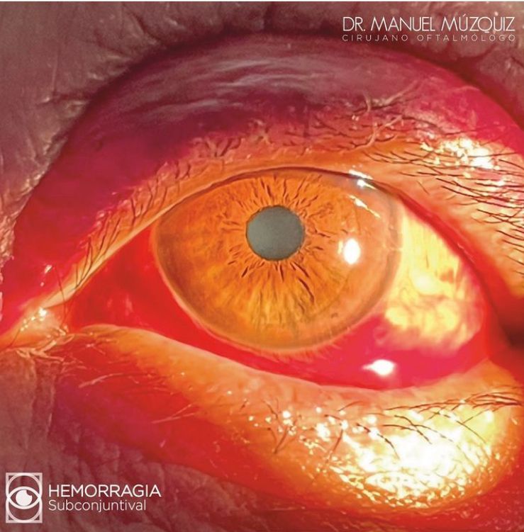 Manuel Alejandro Muzquiz Jimenez-4