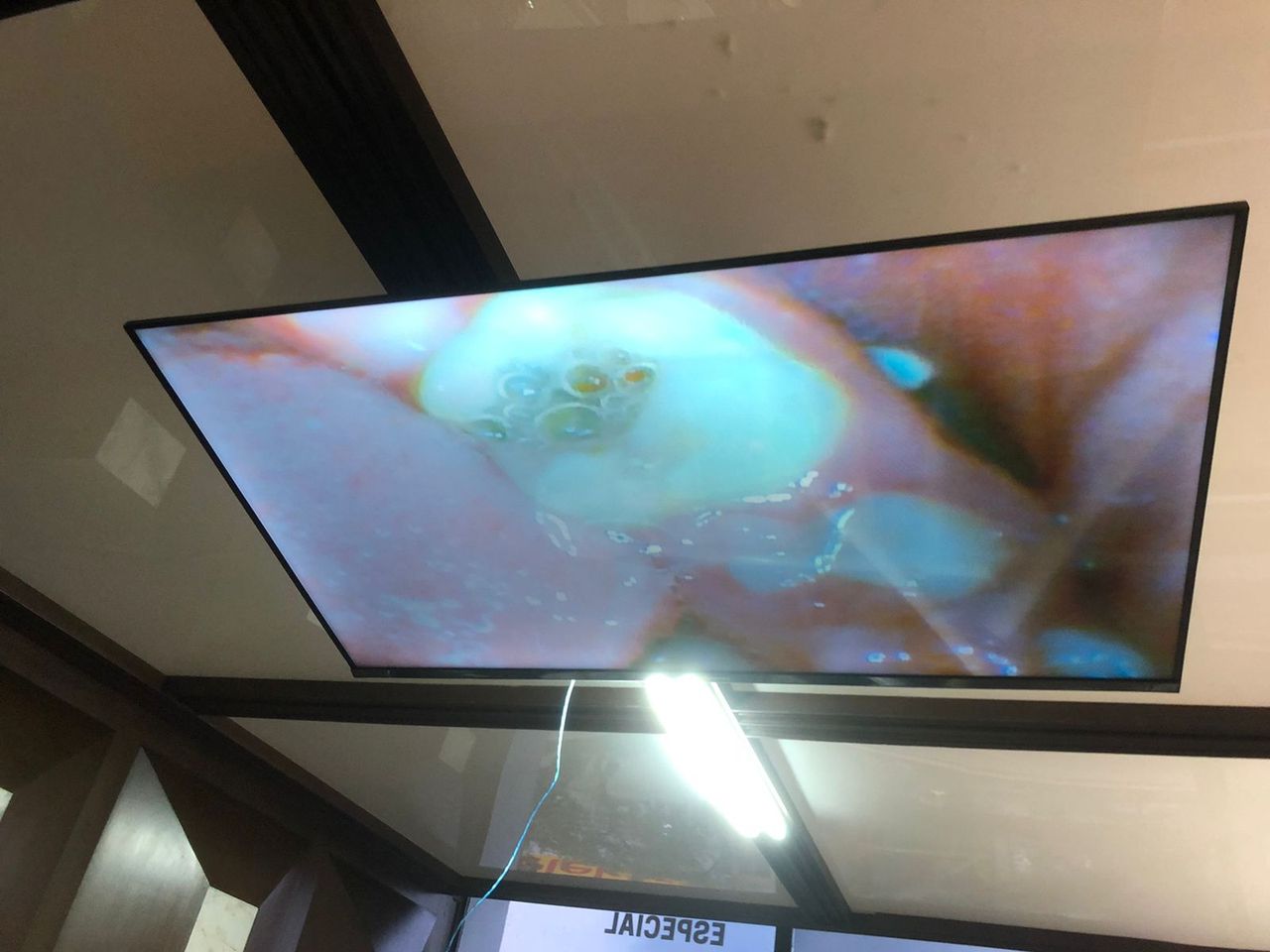 Jorge Benjamin Amezcua Ramos-12