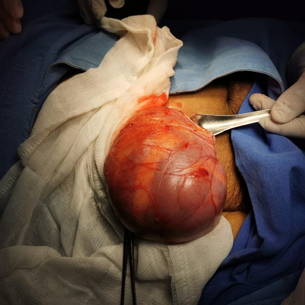 David Reyes Jimenez-4