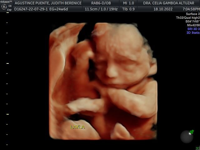 Celia Ivonne Gamboa Altúzar-9