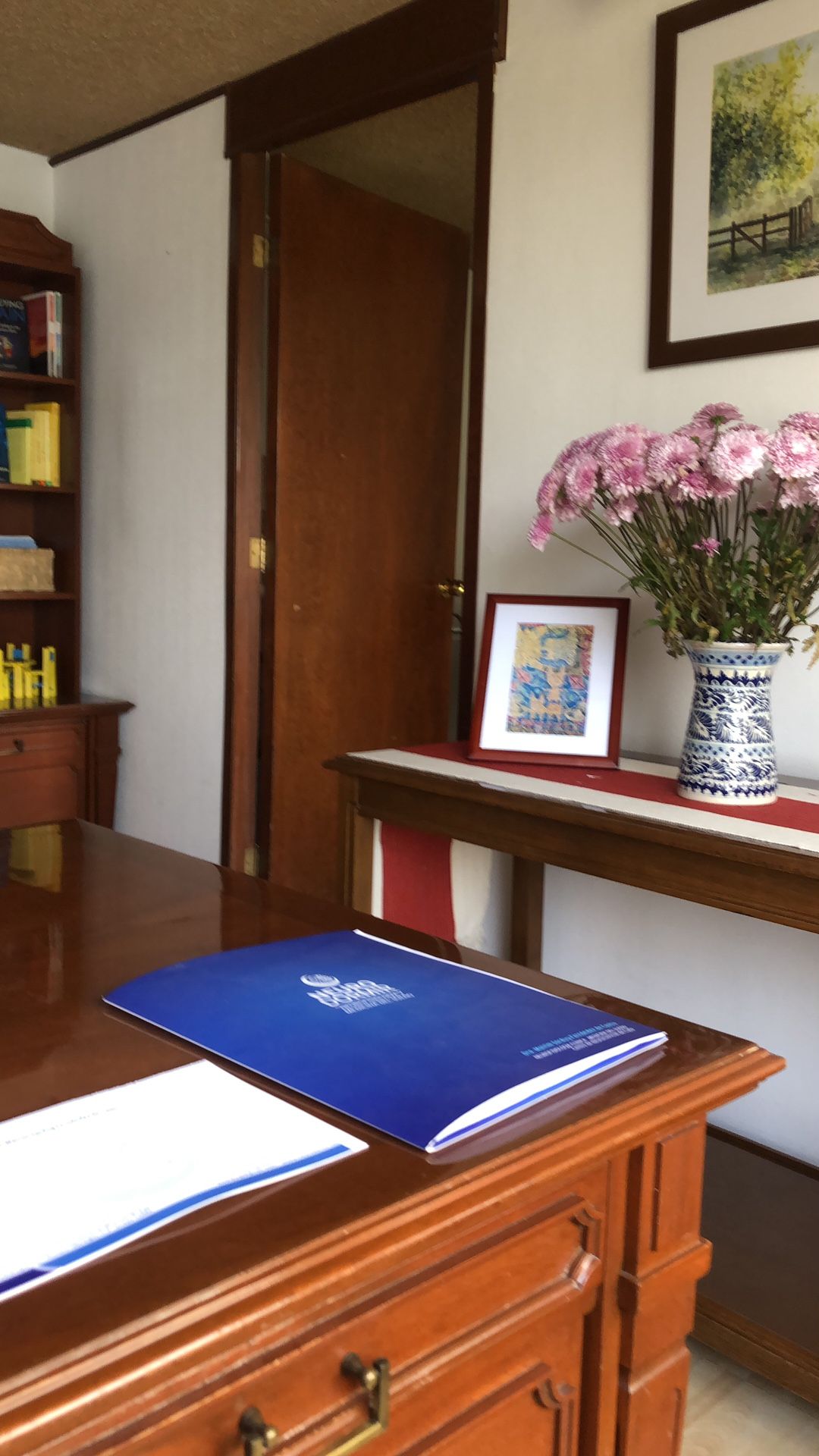 Mairim Sarduy Fernández De Castro-6