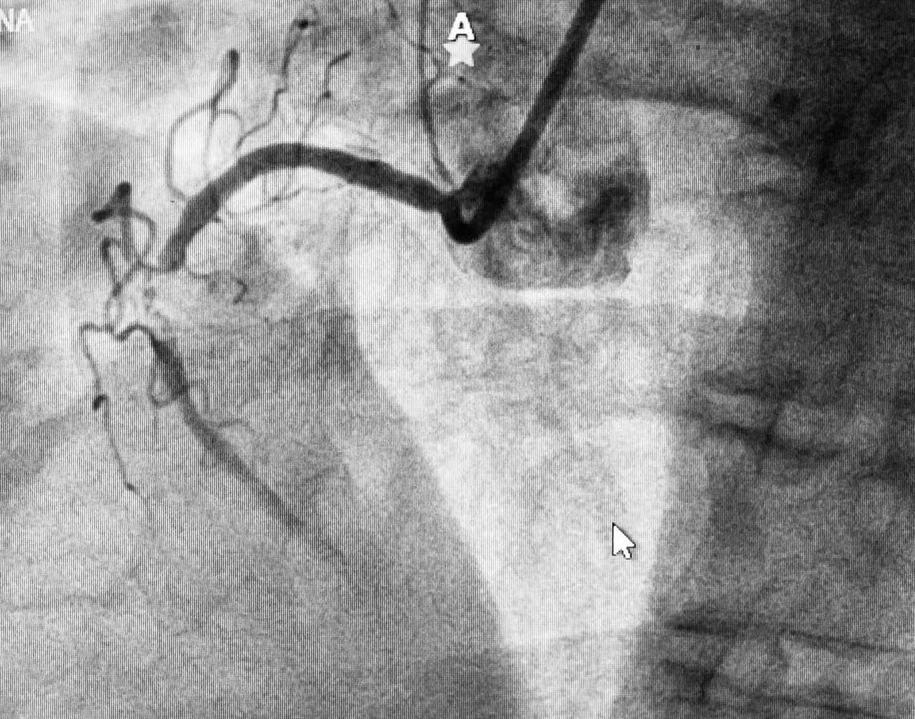 Héctor González Godínez-11