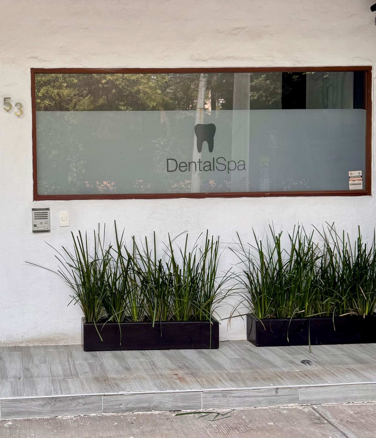 Carolina Cervantes Hong-5