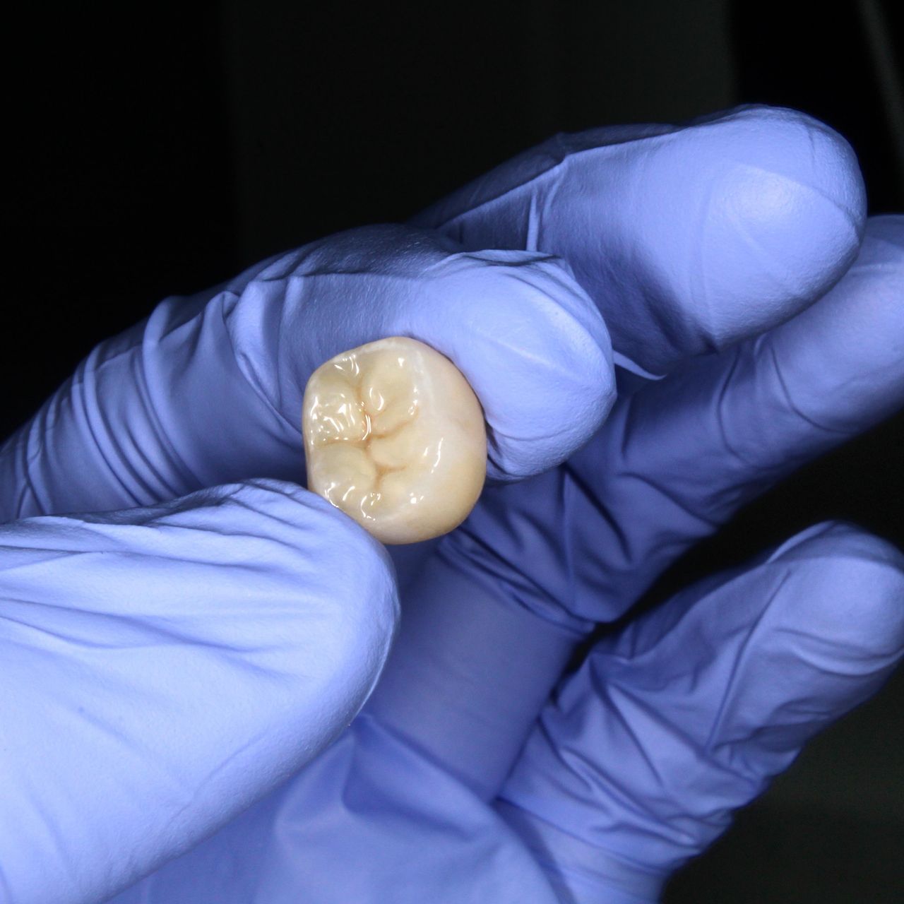 Jose Enrique Bribiesca-4