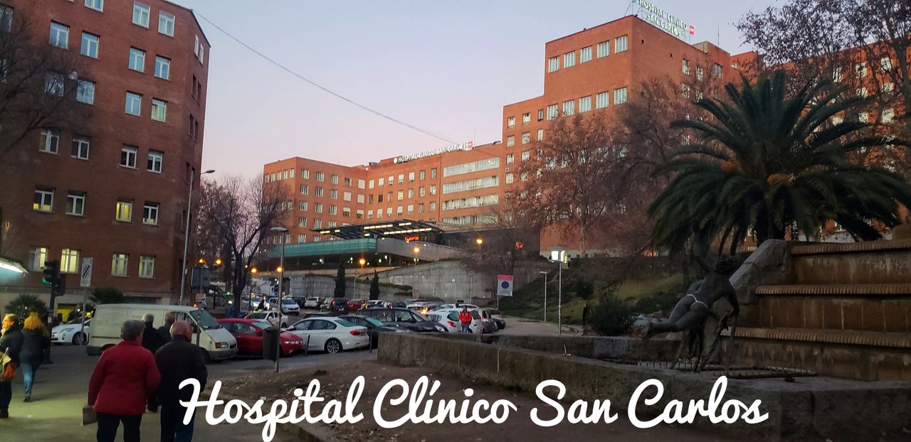 M. Lizet Flores Cruz-9