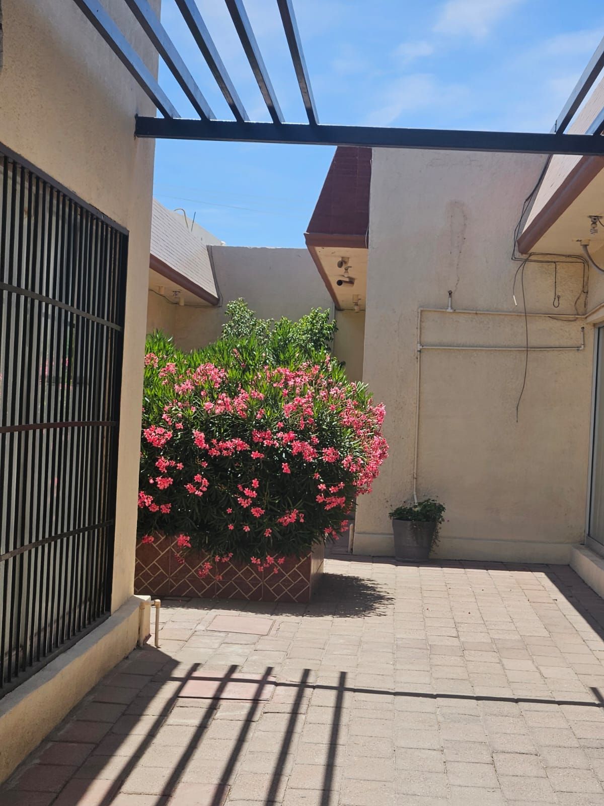 Alma Glenda Hernández Fernández-1