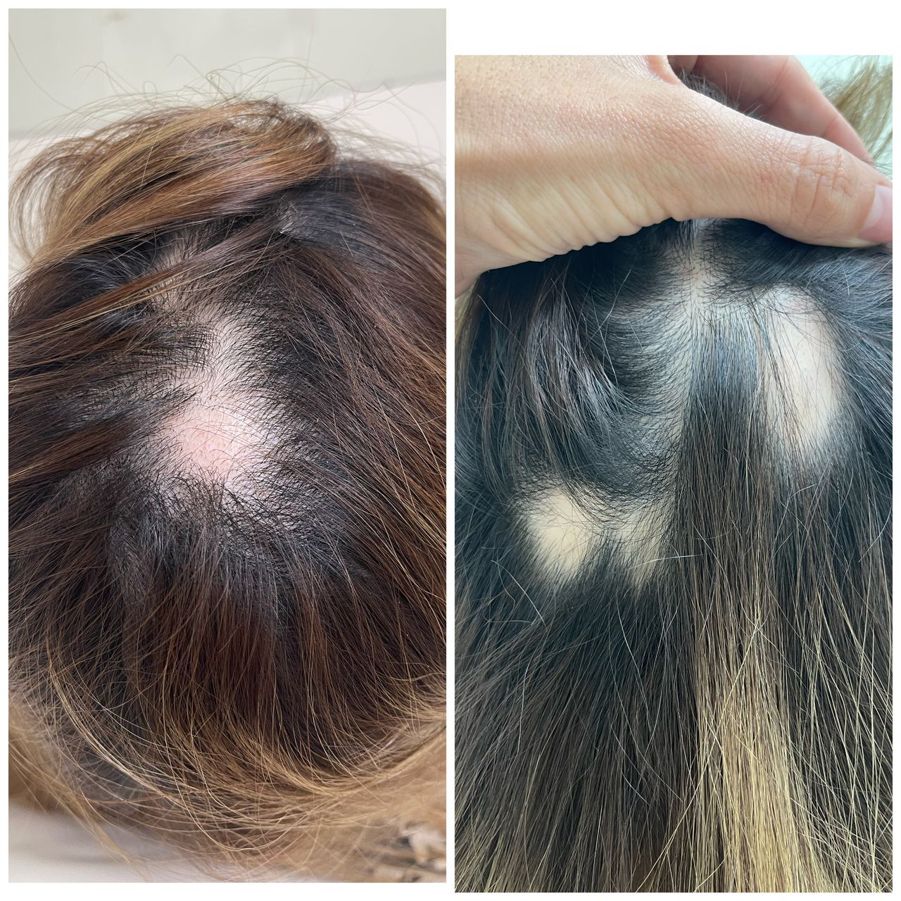 Alejandra Paola Castañeda Contreras-13