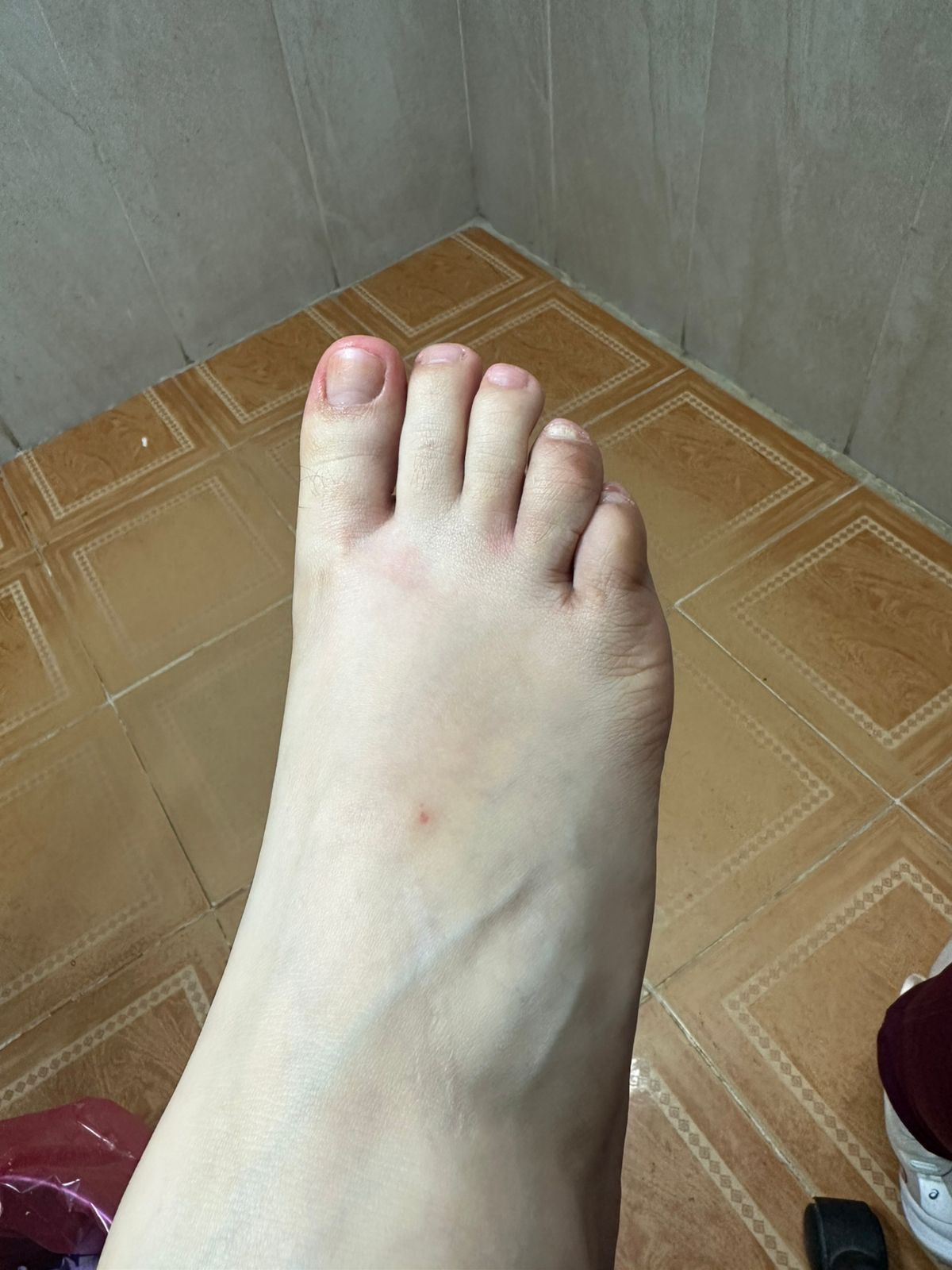 Lizette Rivera Peregrina-23