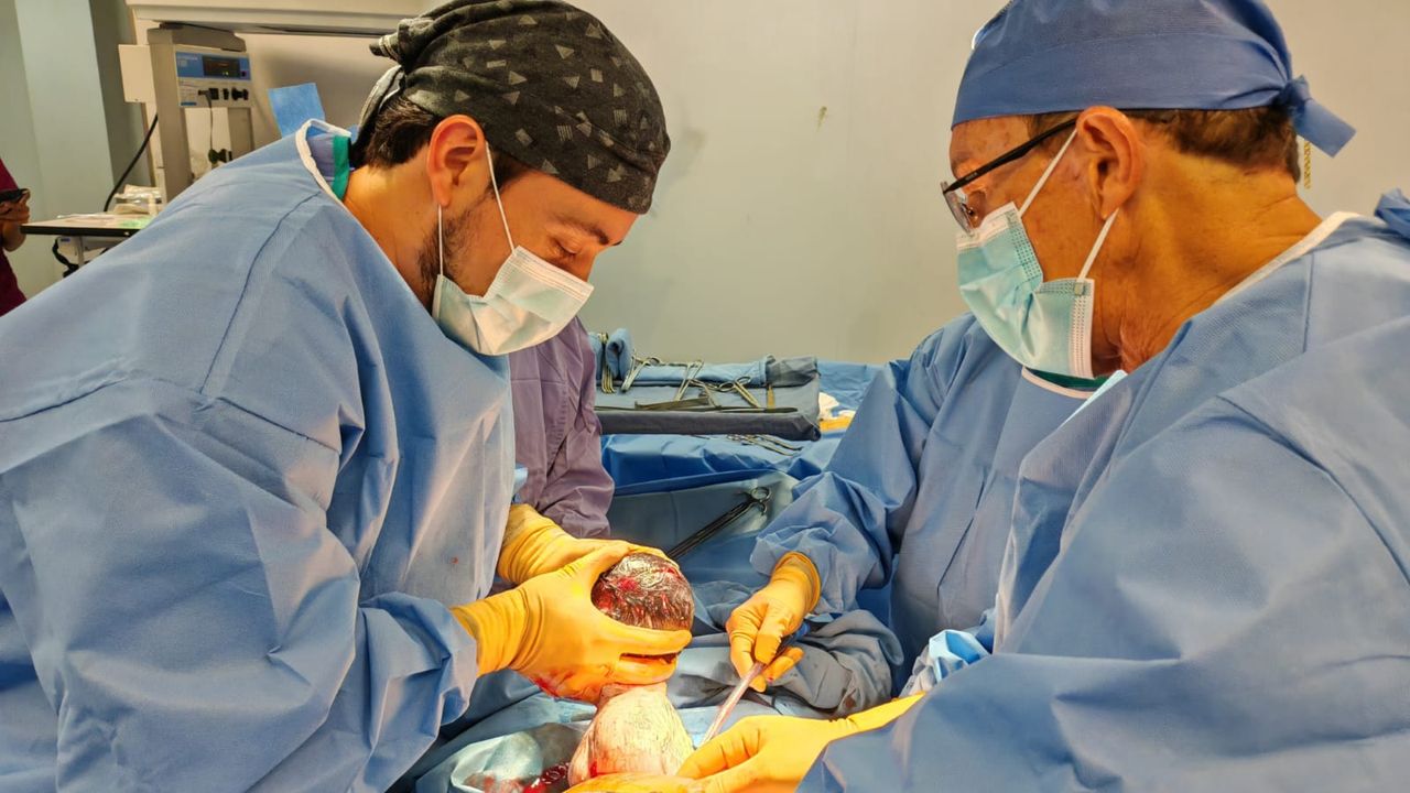 Armando Ayala Macín-2