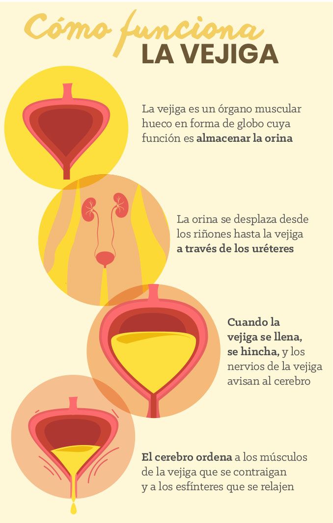 Teresa Eugenia González Fuentes-4