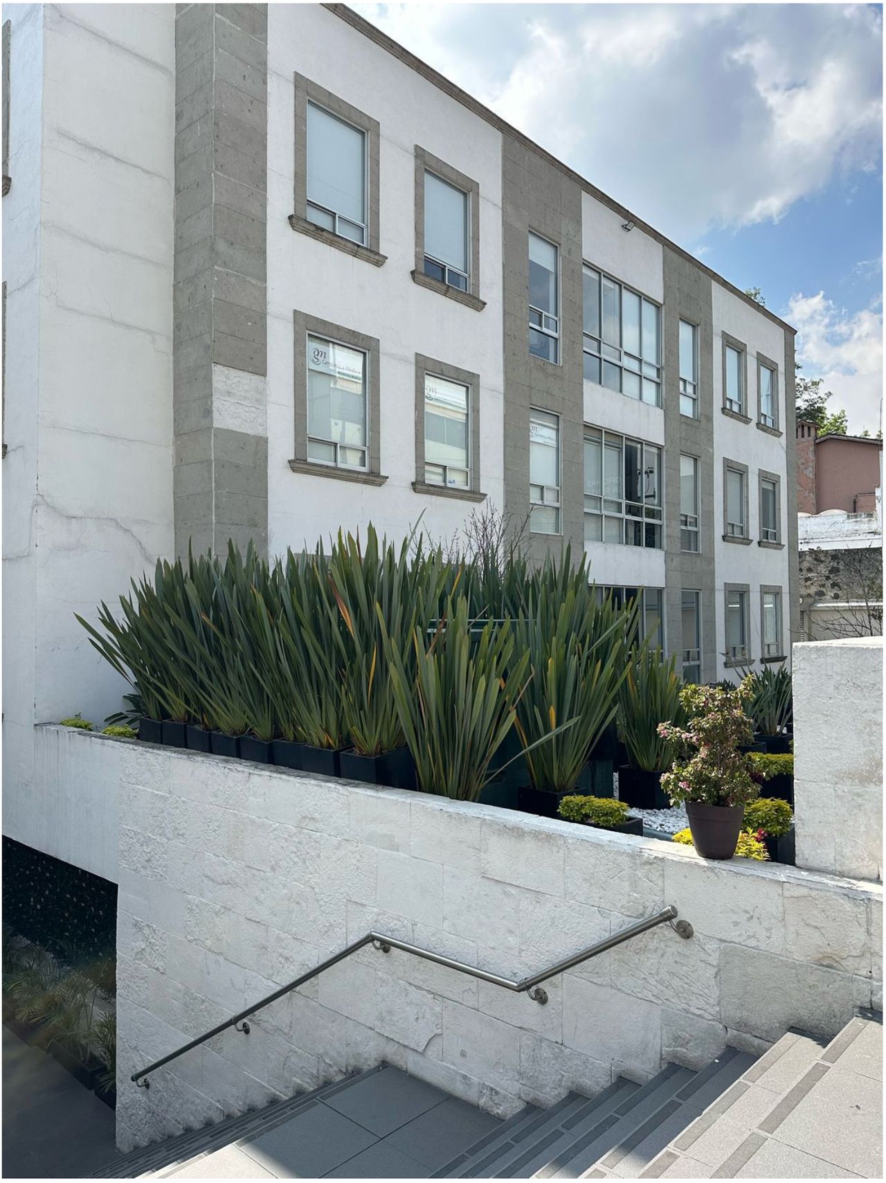 Ximena Flores Villalobos-2