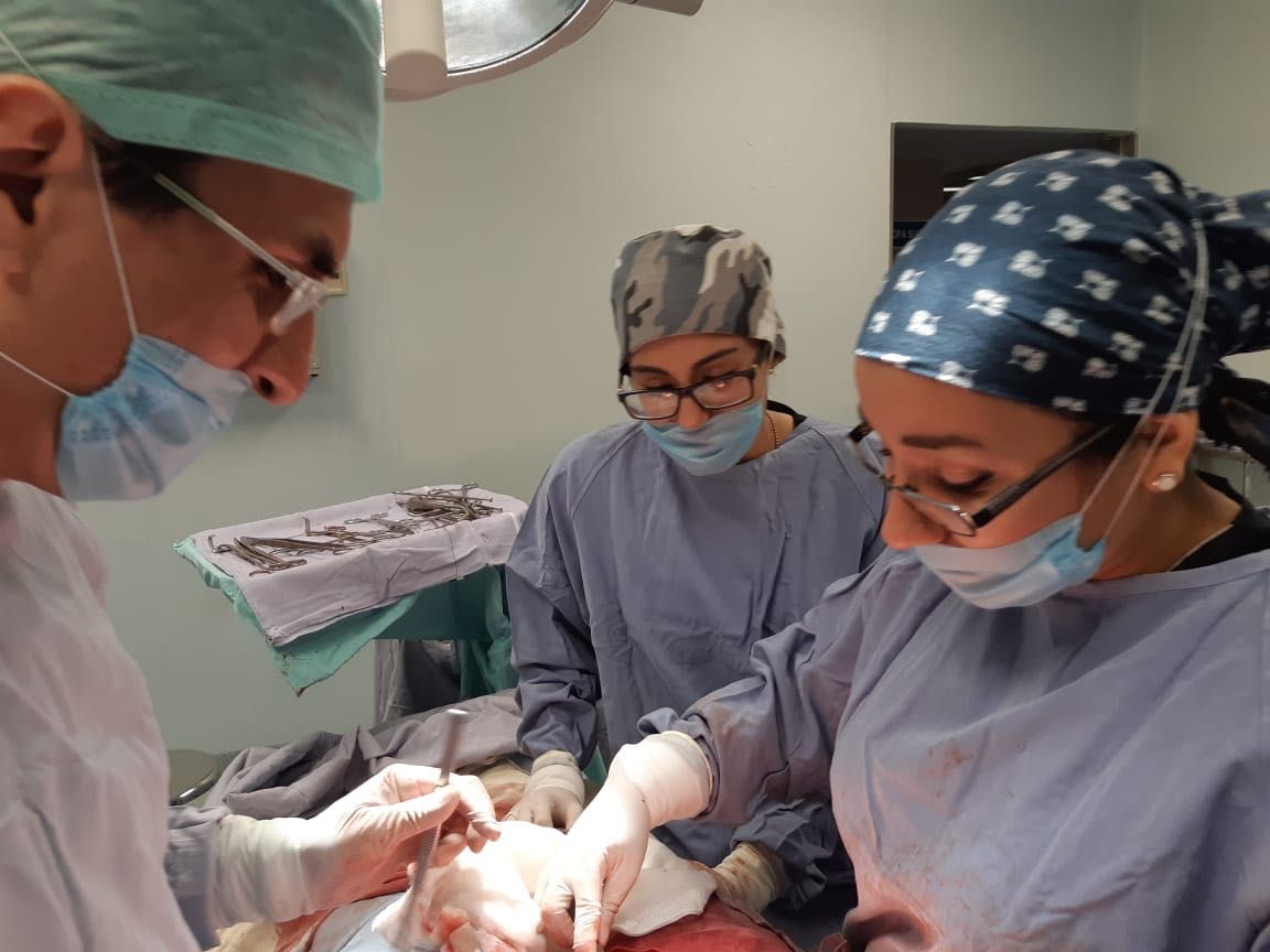 Alejandra Alizbeth Gonzalez Carrillo-34