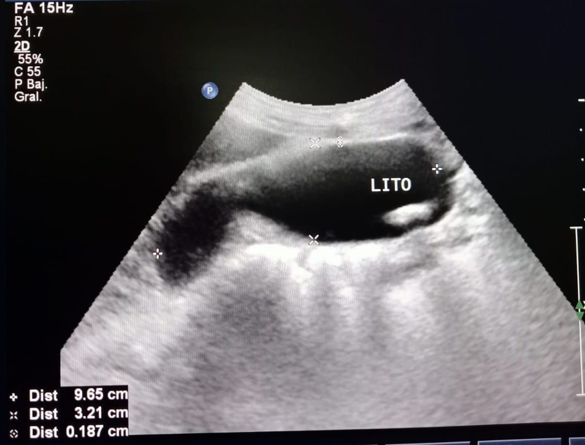 Dalia Ortiz Anguiano-2