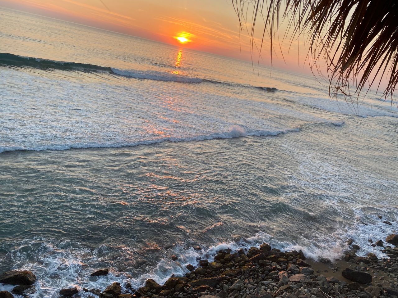 Ricardo Ascención Román Rogel-0