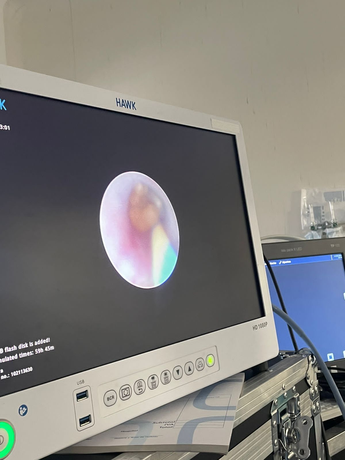 Karen Mendoza Bravo-8