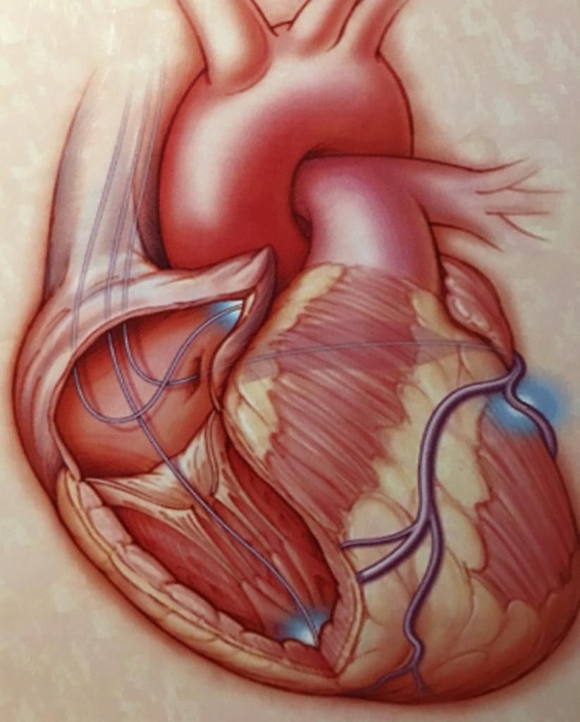 Edgar Cuevas Garcia-14