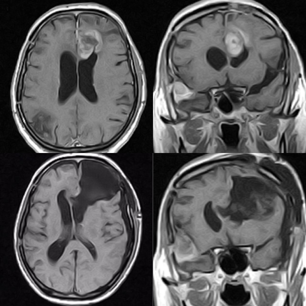 Celia Teresa De Jesús Álvarez Gamiño-17