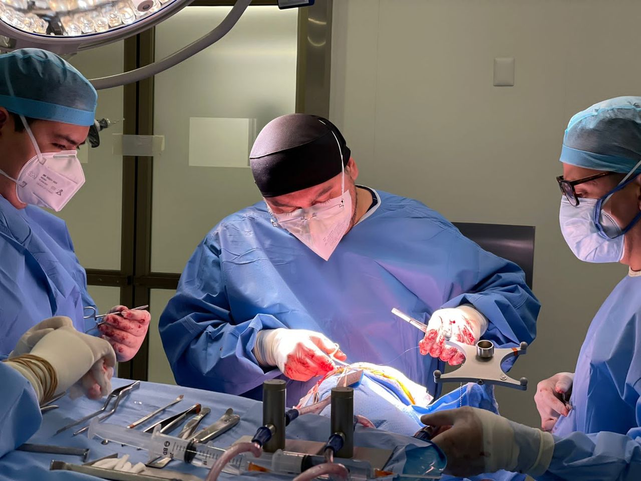 Agustín Dorantes Argandar-17