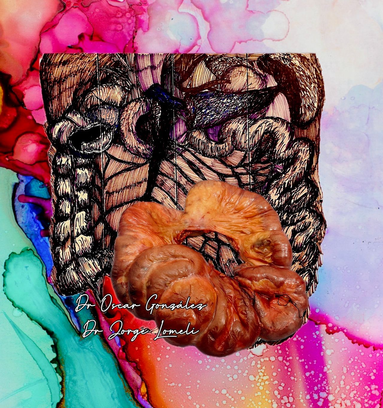 Jorge Antonio Lomeli Muñoz-53