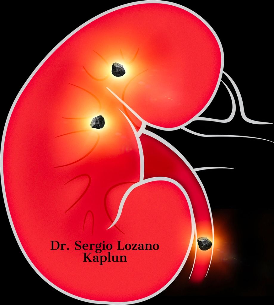 Sergio Lozano Kaplun-3