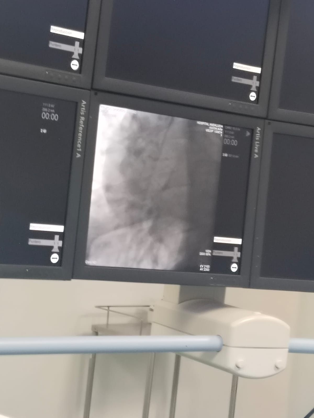 Luis Enrique Vera   Arroyo-38