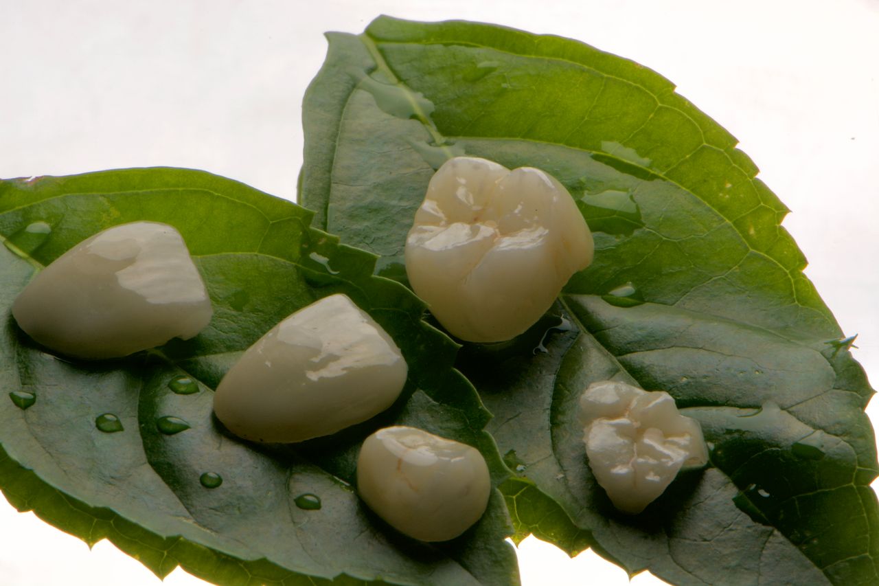 Jesús Gerardo Rodríguez Blanco-1