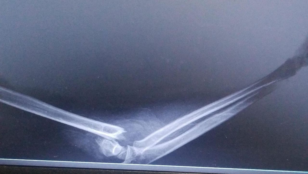 Jesus Manuel Gonzalez-5