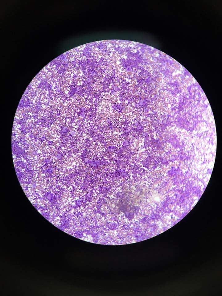 Noé Benjamín Vega Tapia-3